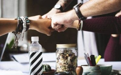 Capital Social: como a colaboração enriquece indivíduos e sociedades – Giro Sustentável