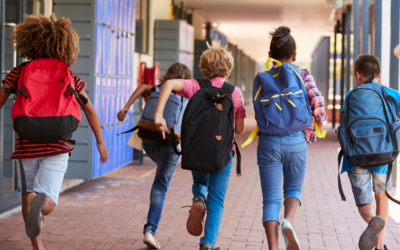 Educação para cidadania: Matriz de competências e práticas cidadãs