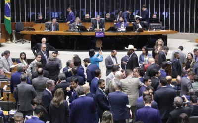 O balanço da democracia brasileira em 2024