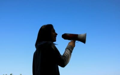 O direito à crítica deve ser garantido em uma sociedade democrática 